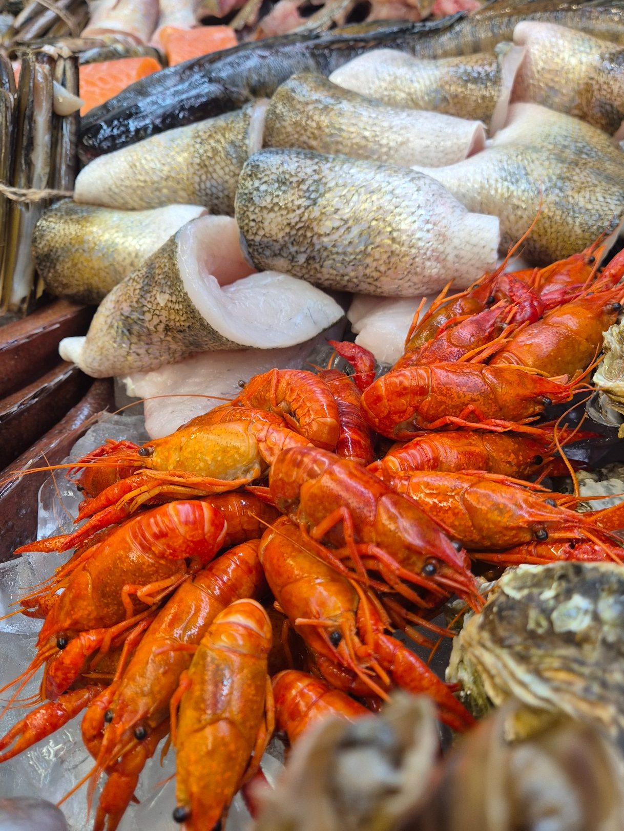 frischen-fisch-kaufen-ruegen